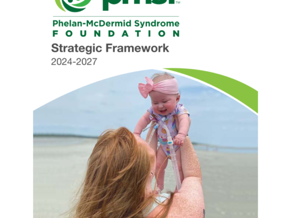 2023-2027 PMSF Strategic Framework