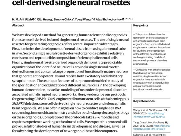 Publication: Generating and characterizing human telencephalic brain organoids from stem cell-derived single neural rosettes