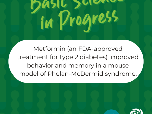 Early Metformin Treatment in a SHANK3 Mouse Model